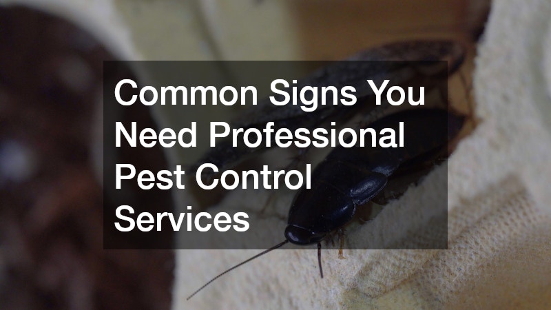 Common Signs You Need Professional Pest Control Services