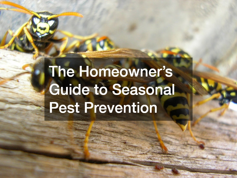 The Homeowner’s Guide to Seasonal Pest Prevention