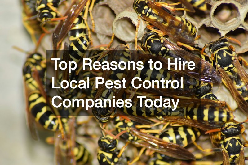 Top Reasons to Hire Local Pest Control Companies Today